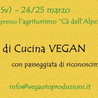 corso-di-cucina-vegan-foto-thumb